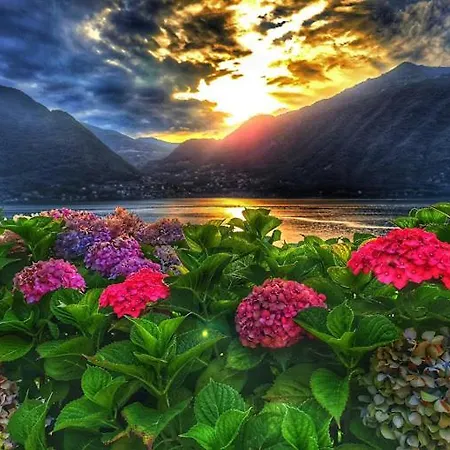 The Silence Appartement